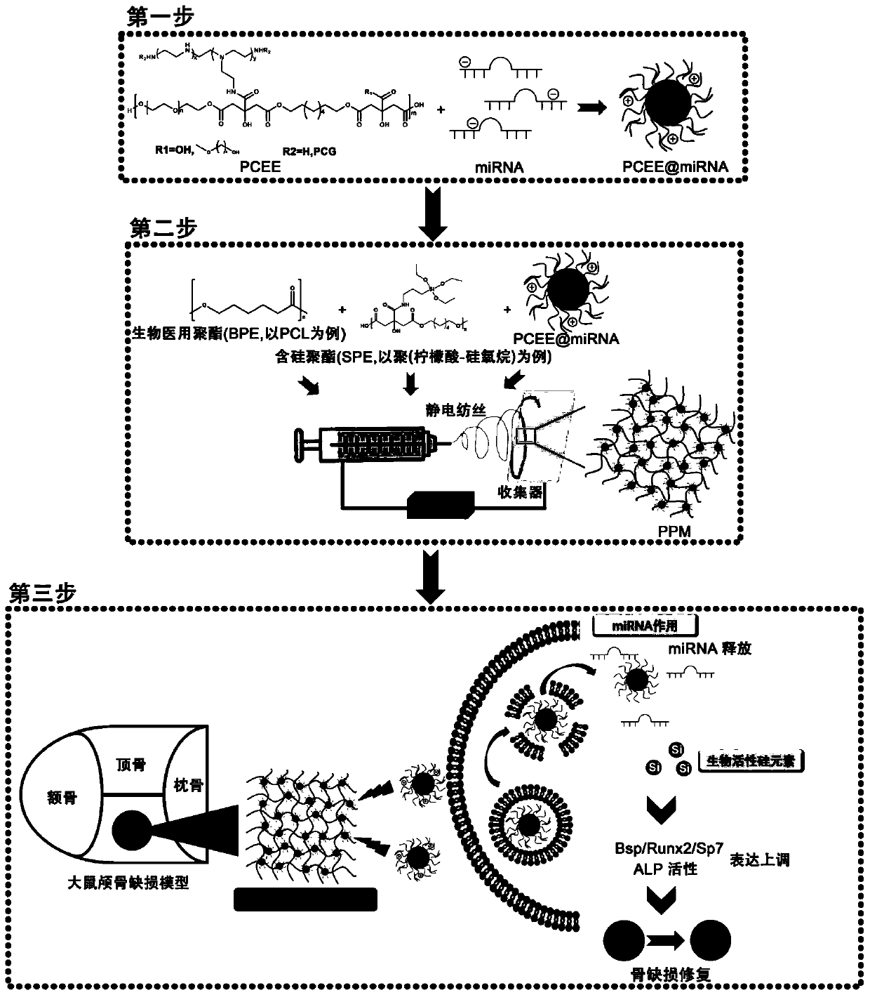 A silicon-based elastic nanofiber bone repair material and its preparation method and application