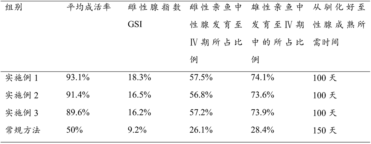 Method for domesticating wild Leptobotia elongata under artificial cultivation conditions until gonadal maturation of Leptobotia elongata