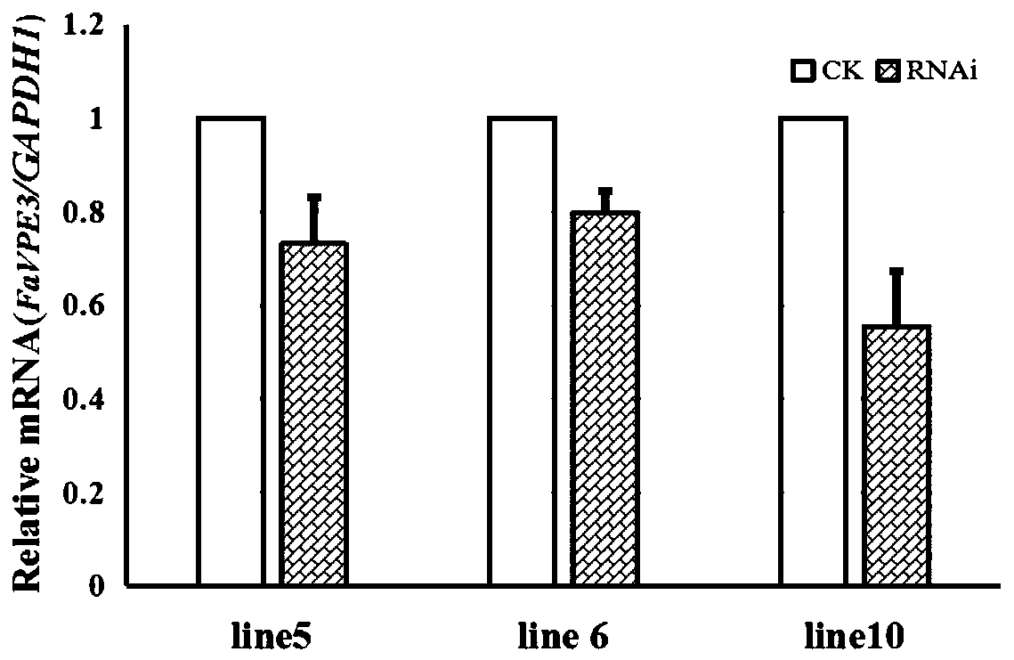 Fragaria ananassa vacuole processing enzyme coding gene FaVPE3 and application thereof