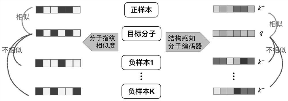 A Molecular Graph Representation Learning Method Based on Contrastive Learning