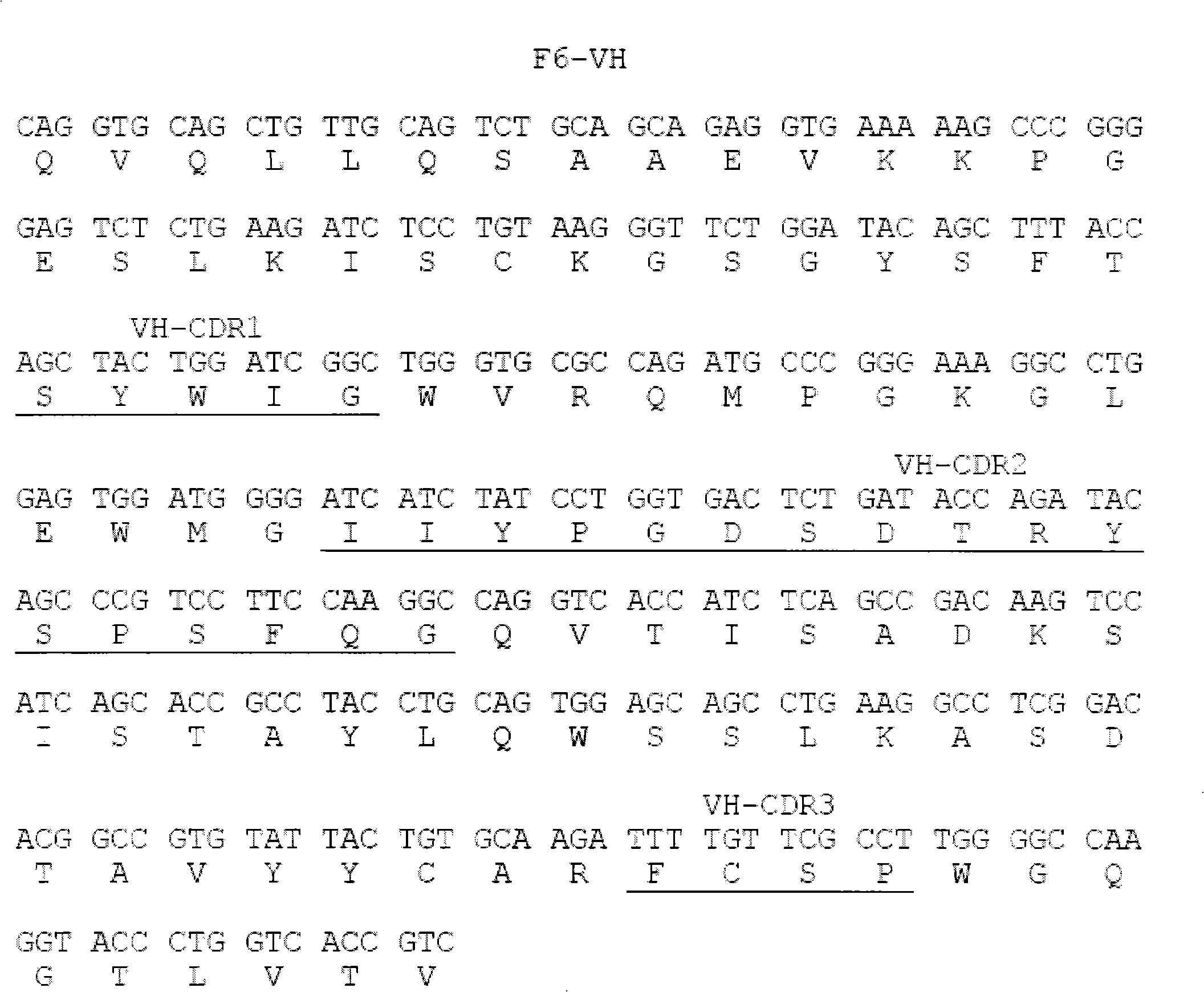 Human anti-human tumor necrosis factor-alpha single chain antibody