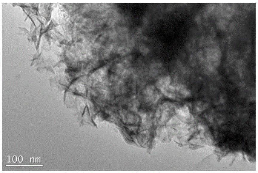 Carbon fiber supported cobalt sulfide nanosheet catalyst and application thereof