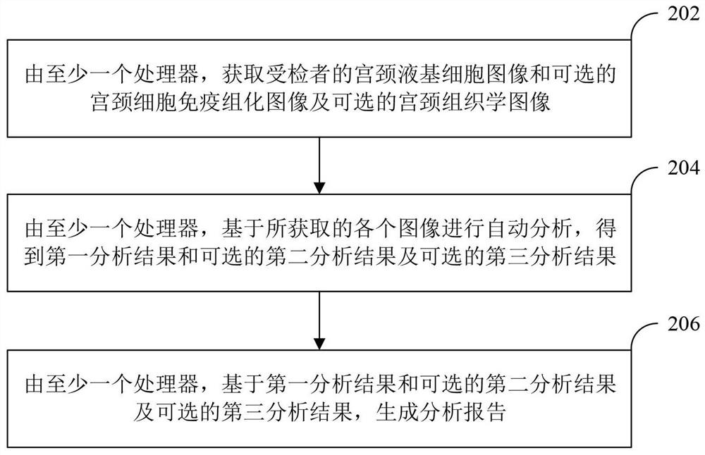 Apparatus and method, equipment and storage medium for analysis and management of cervical images