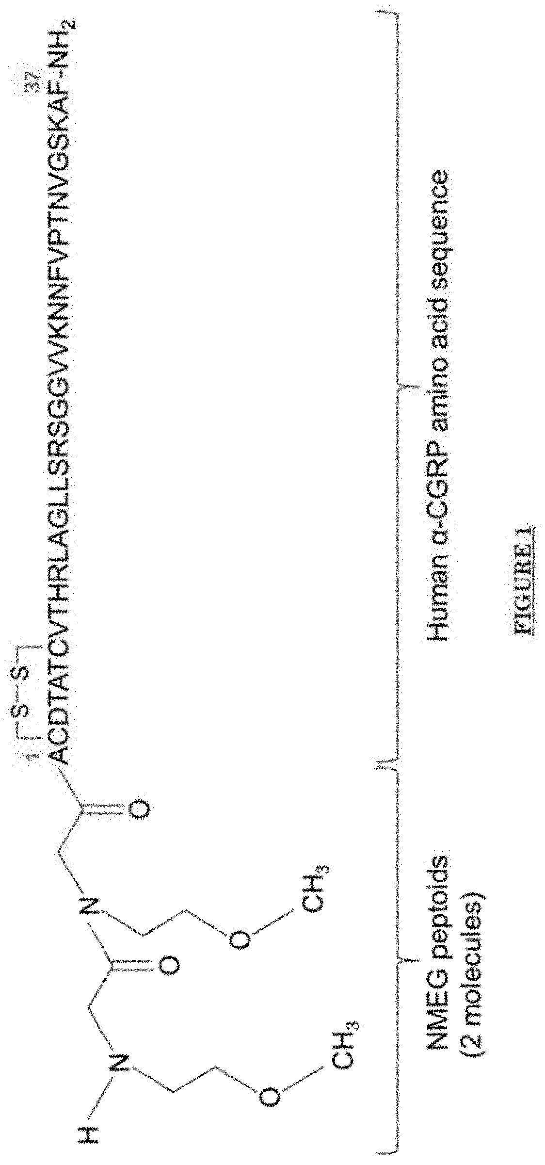 PEPTOID-PEPTIDE HYBRID, NMEG-aCGRP, AND ITS USE IN CARDIOVASCULAR DISEASES