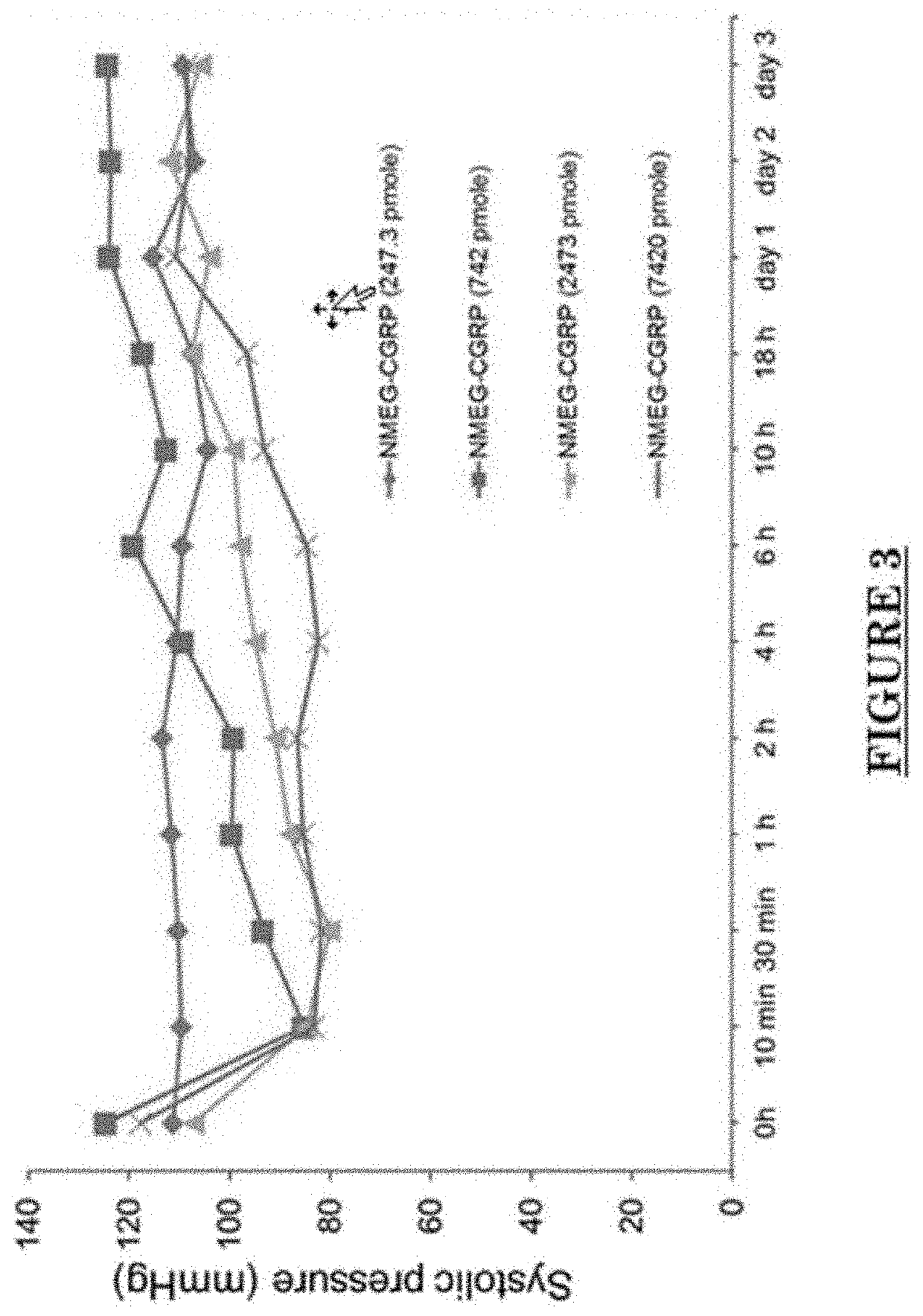 PEPTOID-PEPTIDE HYBRID, NMEG-aCGRP, AND ITS USE IN CARDIOVASCULAR DISEASES