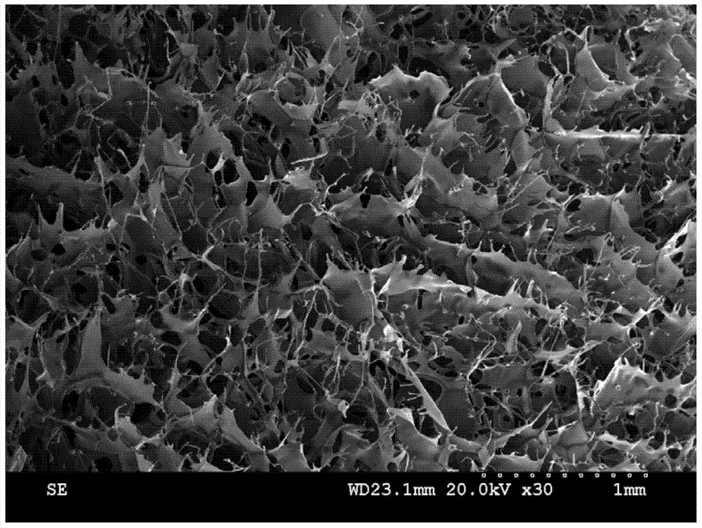 Stent-type silk fibroin film insoluble in water as well as preparation and application of silk fibroin film