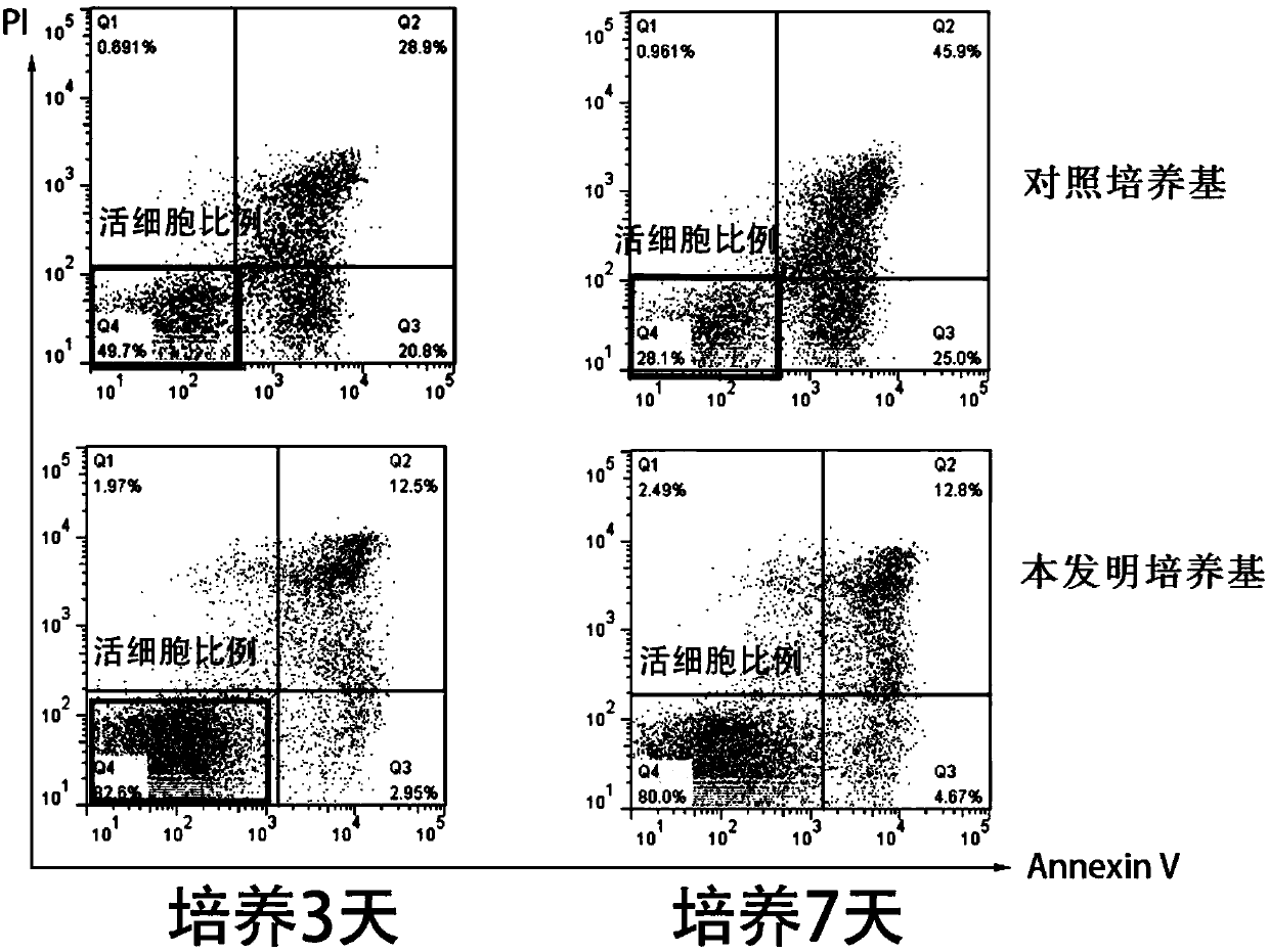 Human primary cell culture medium and application thereof