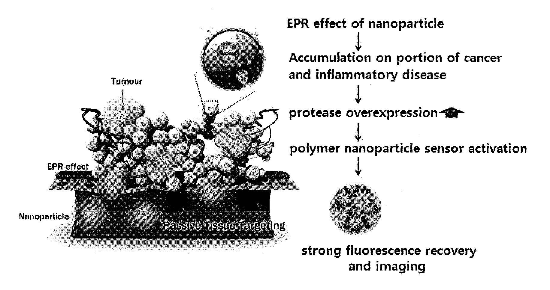 Nanoparticle sensor for measuring protease activity and method for manufacturing the same