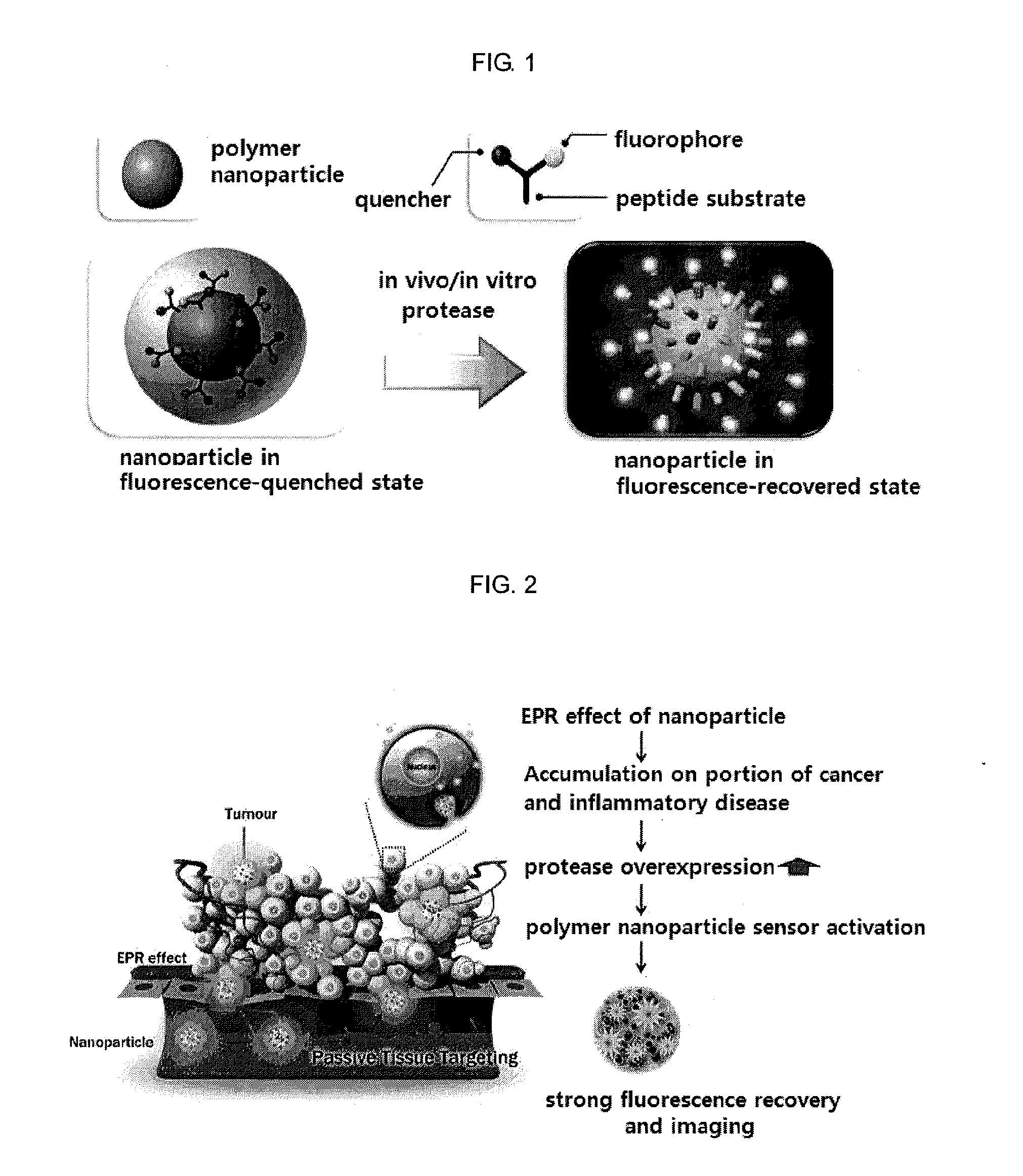 Nanoparticle sensor for measuring protease activity and method for manufacturing the same