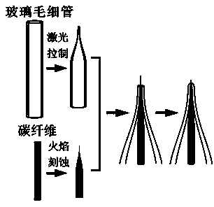 Novel carbon fiber nanocone electrode as well as preparation method and application thereof