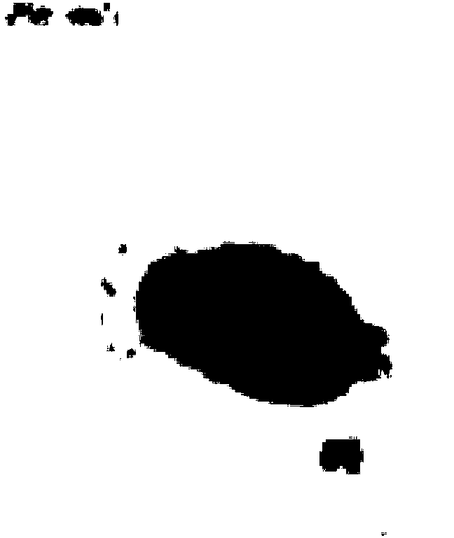 Acid-resistant pseudomonas protegens CLP-6 and application thereof