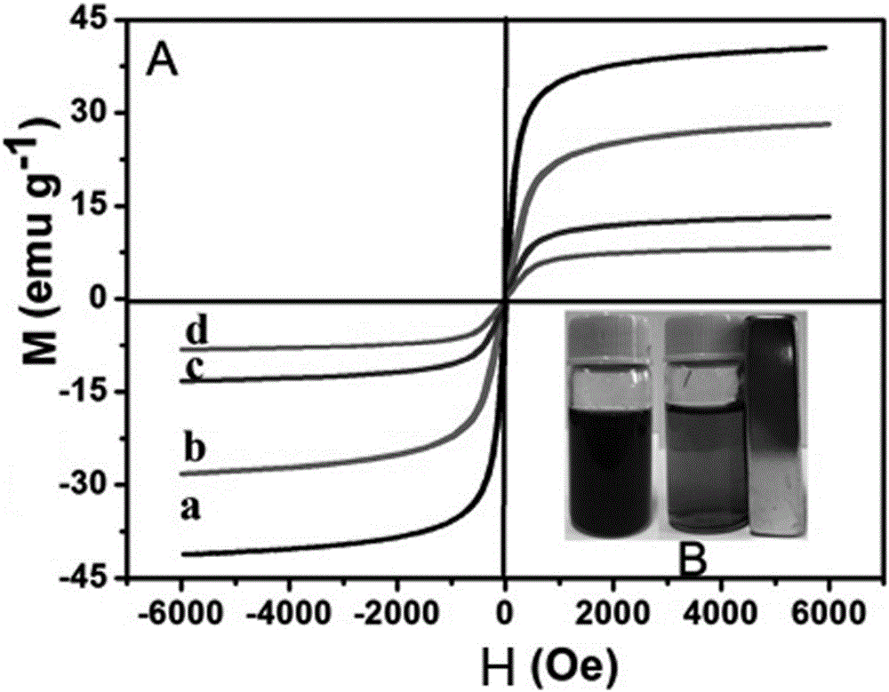 Magnetic nano composite material and a preparation method and application thereof