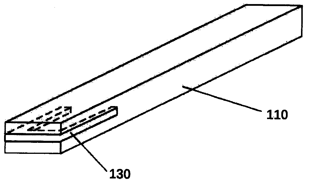 Atomic force microscope probe device for applying fixing force