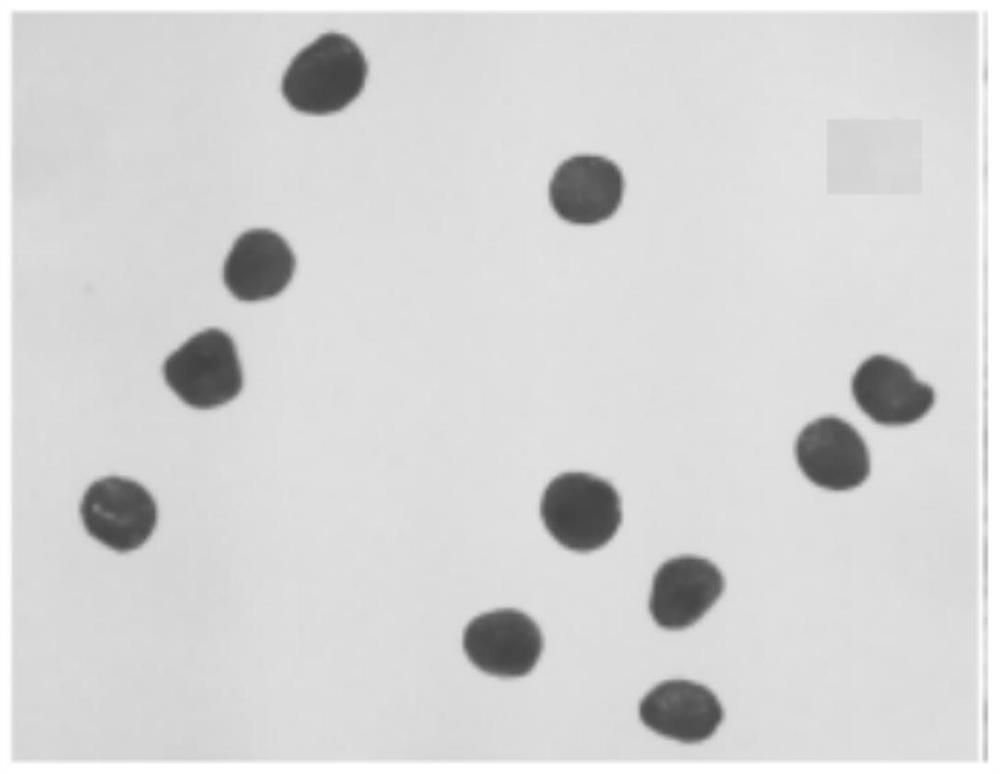 A kind of cobalt vanadate compound and its preparation method and application