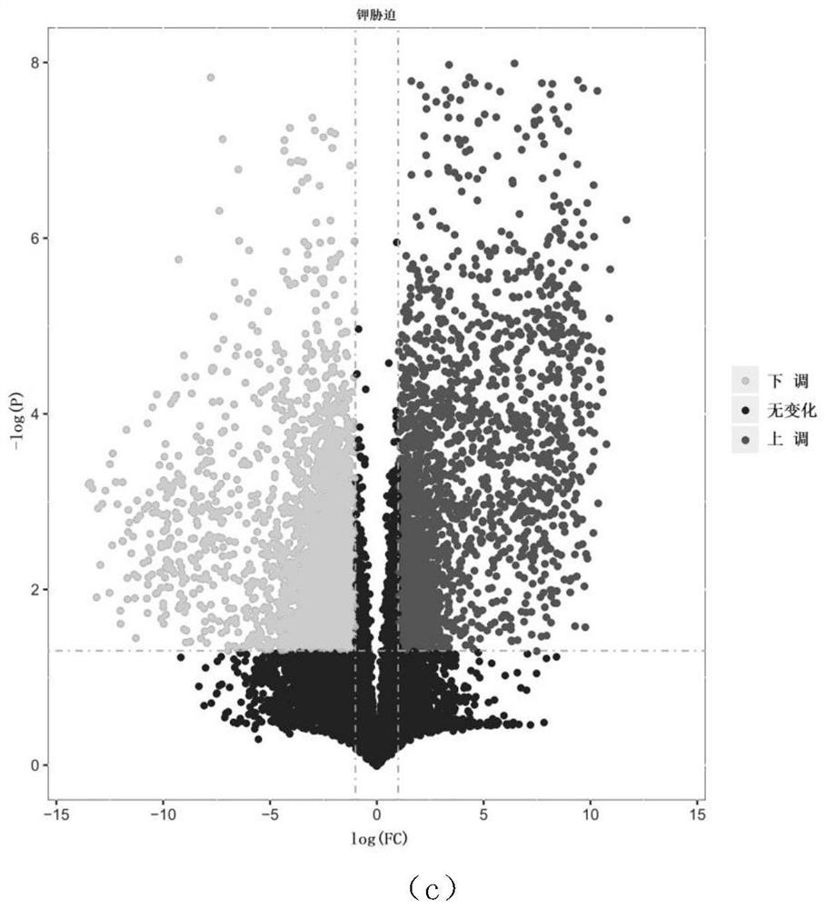 A method for evaluating the nutritional status of crops in latent nutrient deficiency period using sensitive metabolites