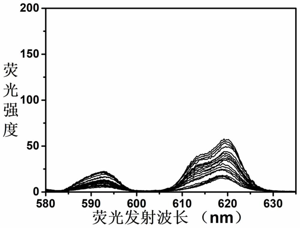 Fluorescent probes based on polyoxometalates and their assemblies and their application in the detection of spermine