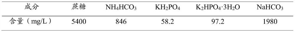 Method for promoting formation of anaerobic granular sludge