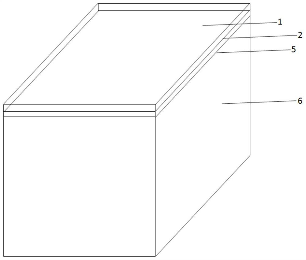 Vibration device for immunofluorescence method