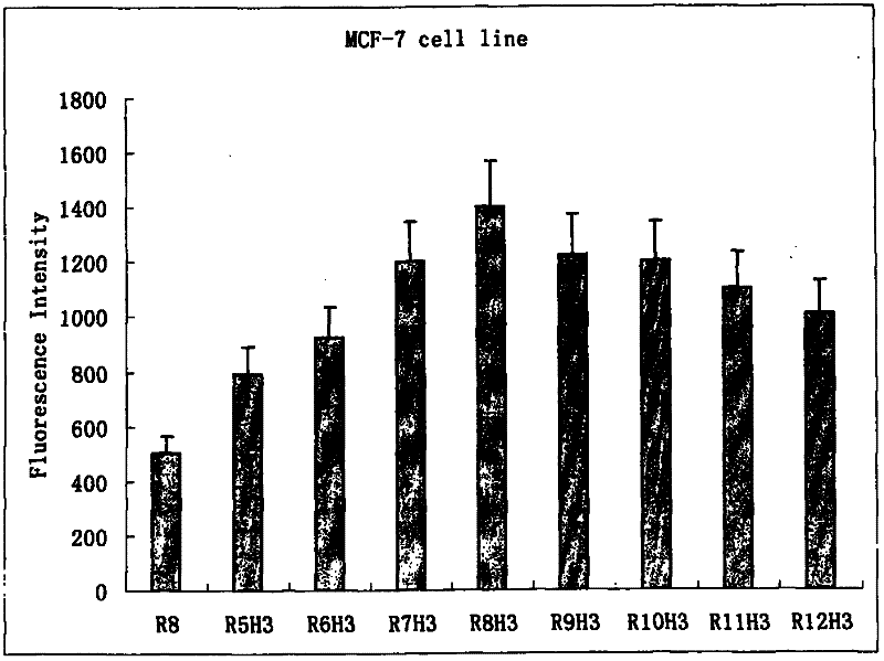 Application of tumor cell membrane selectively penetrating peptide