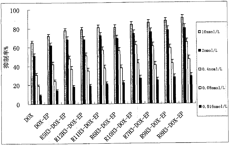 Application of tumor cell membrane selectively penetrating peptide