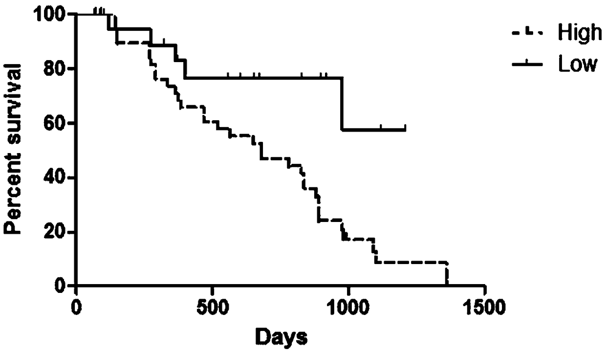 Application, kit and detection method of novel molecular marker non-coding RNA LINC00922 for prognosis of kidney cancer