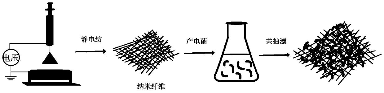 Preparation method of nanofiber/electrogenesis bacterium film for microbial fuel cells