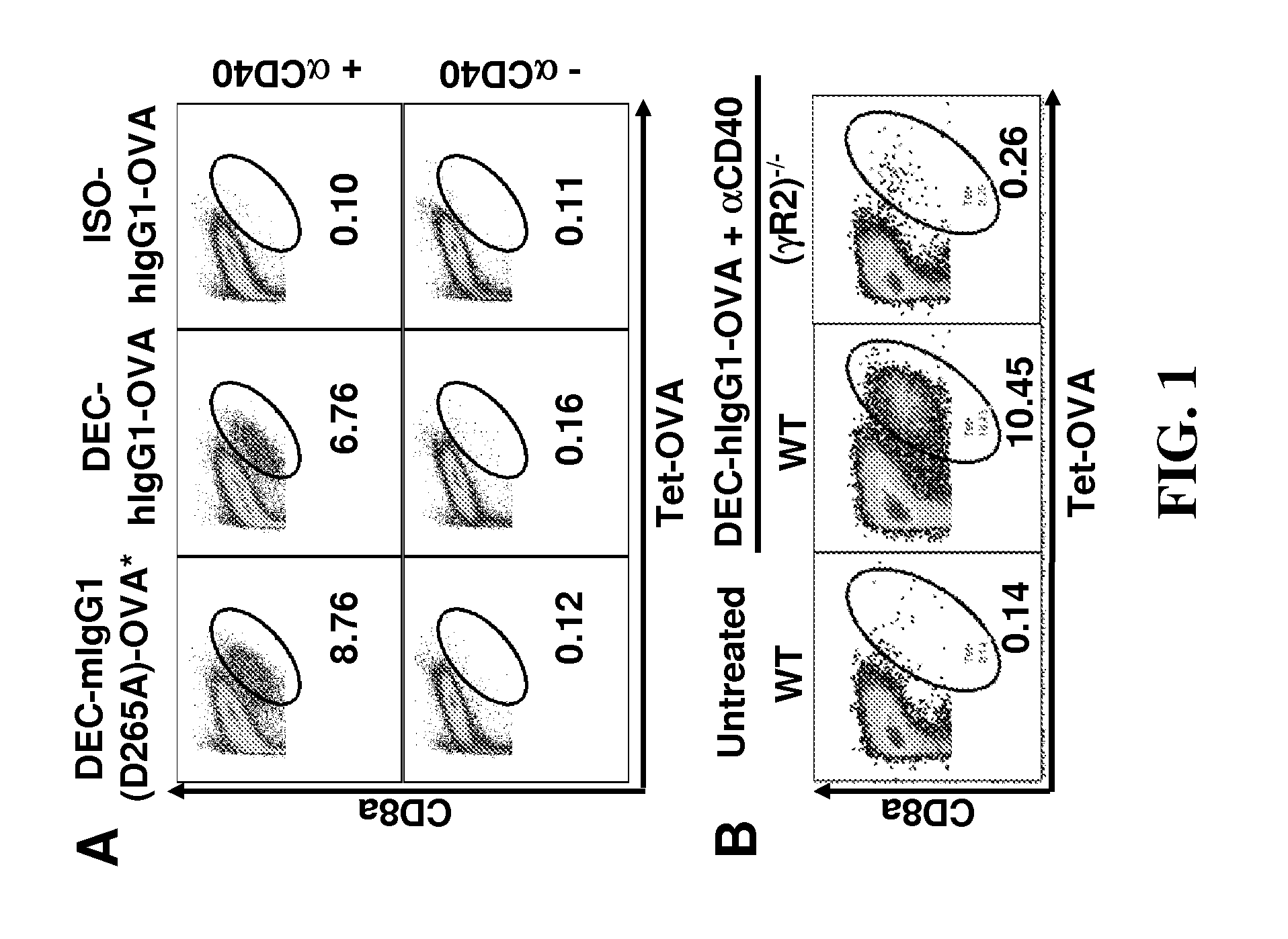 Modulating agonistic tnfr antibodies