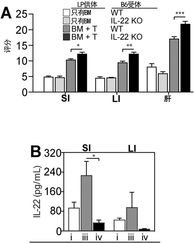 Methods of use for IL-22 in the treatment of gastrointestinal graft vs. host disease