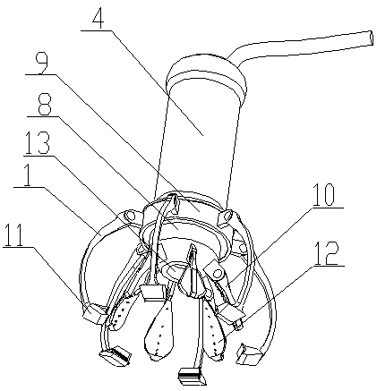 Coconut end cap cutting device for food processing