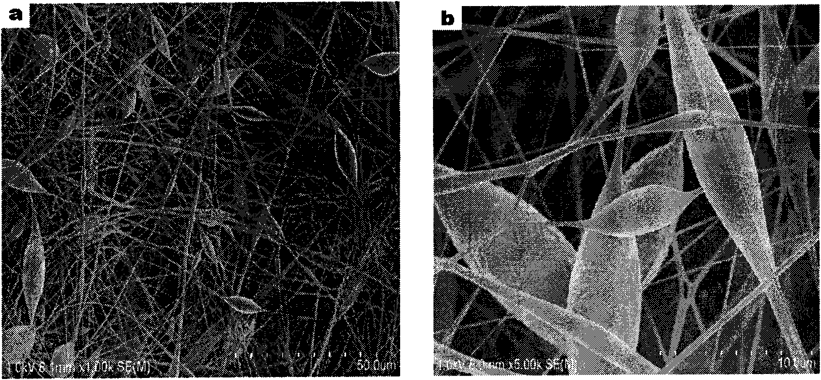 Method for preparing immobilized laccase in electrospun fiber membrane