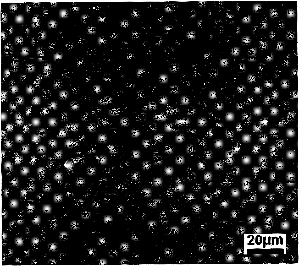 Method for preparing immobilized laccase in electrospun fiber membrane