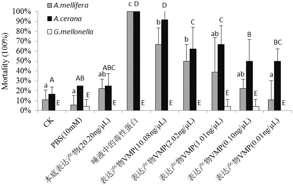 Varroa destructor toxic protein and coding gene thereof, and application thereof