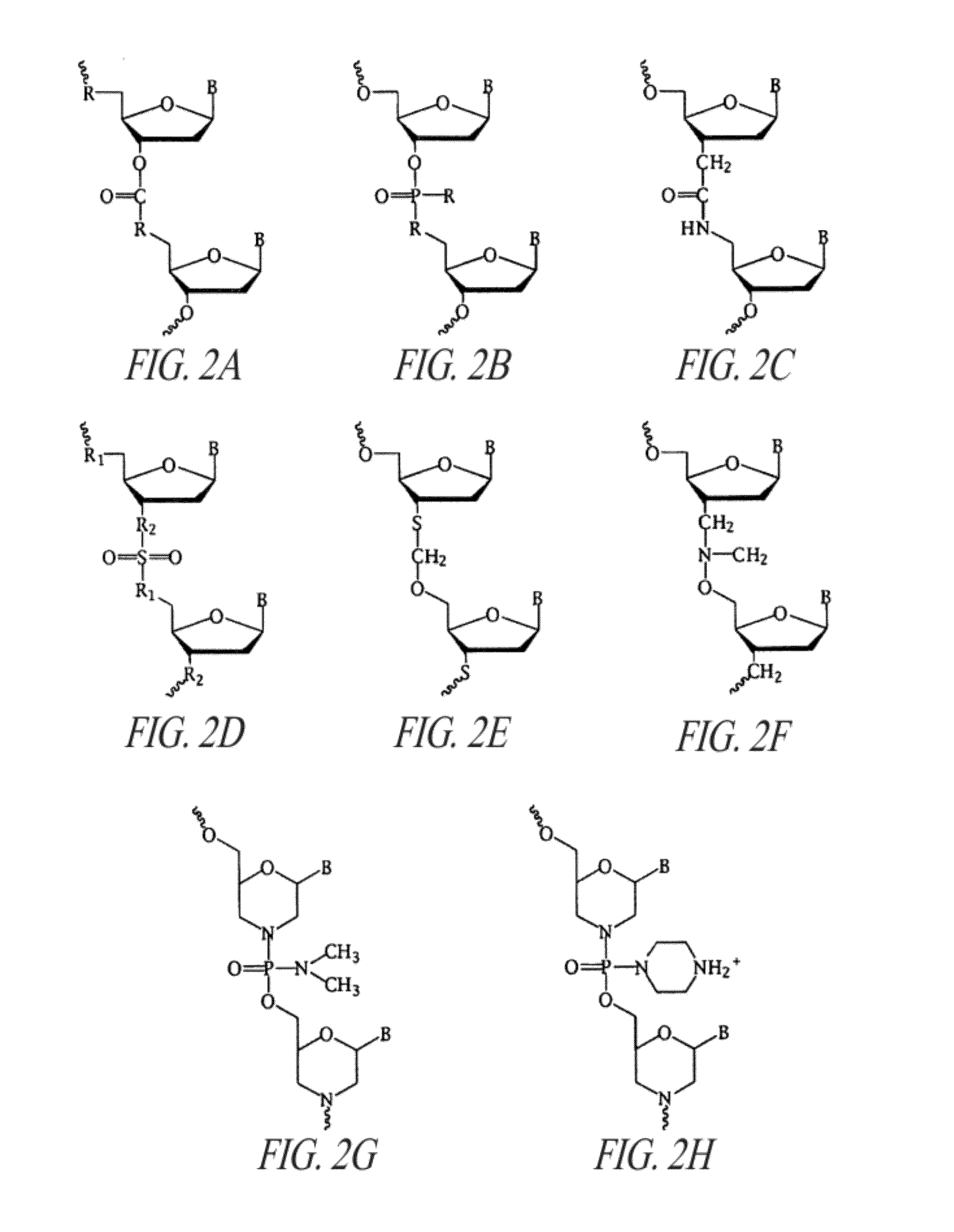 Antisense antiviral compounds and methods for treating a filovirus infection