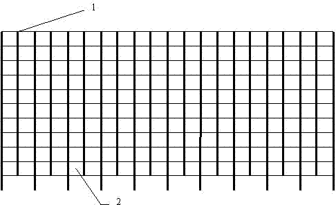 Rapid shaping method of euonymus japonicus cylindrical seedlings