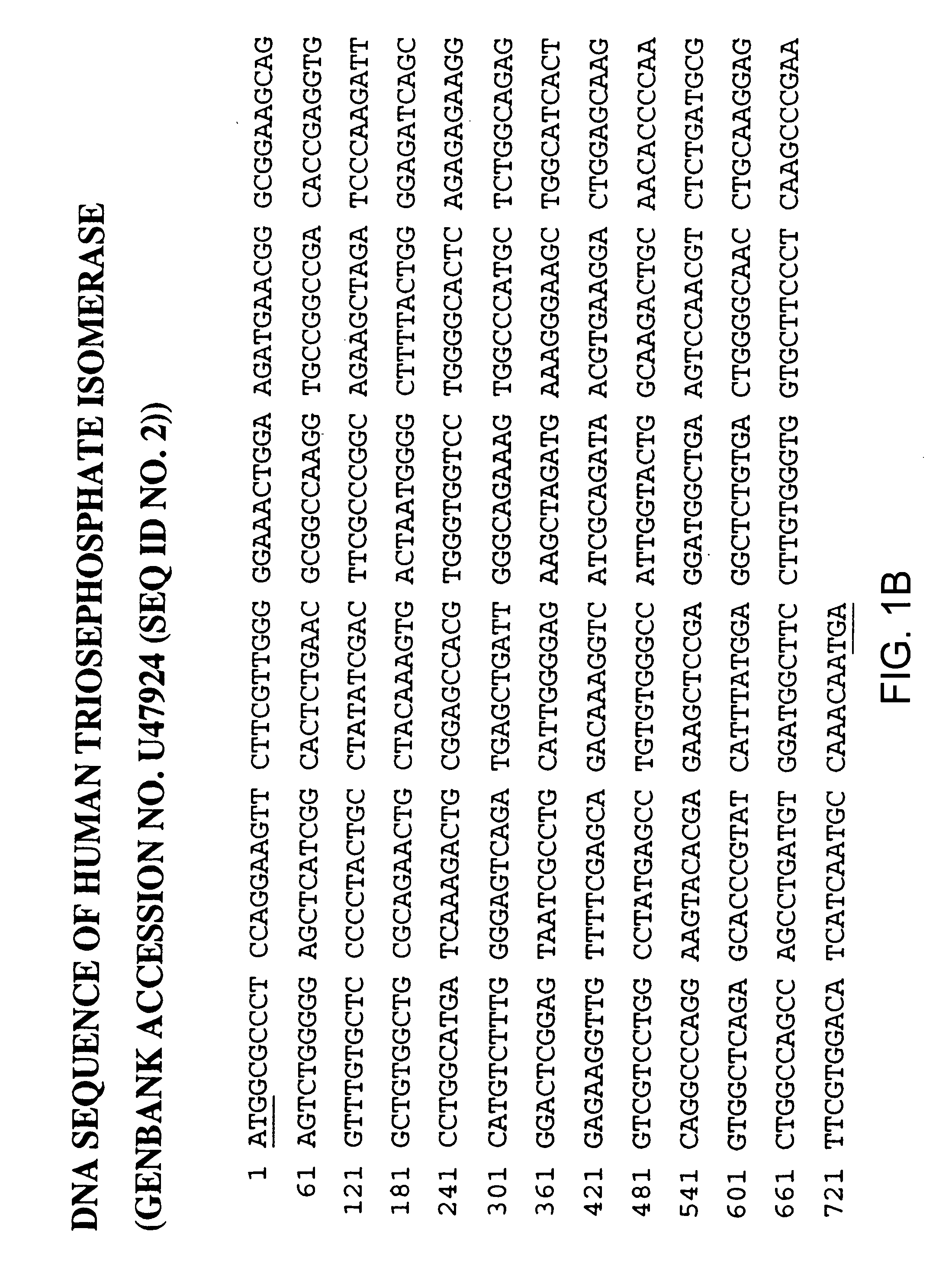 Triosephosphate isomerase directed diagnostics and therapeutics for multidrug resistant neoplastic disease