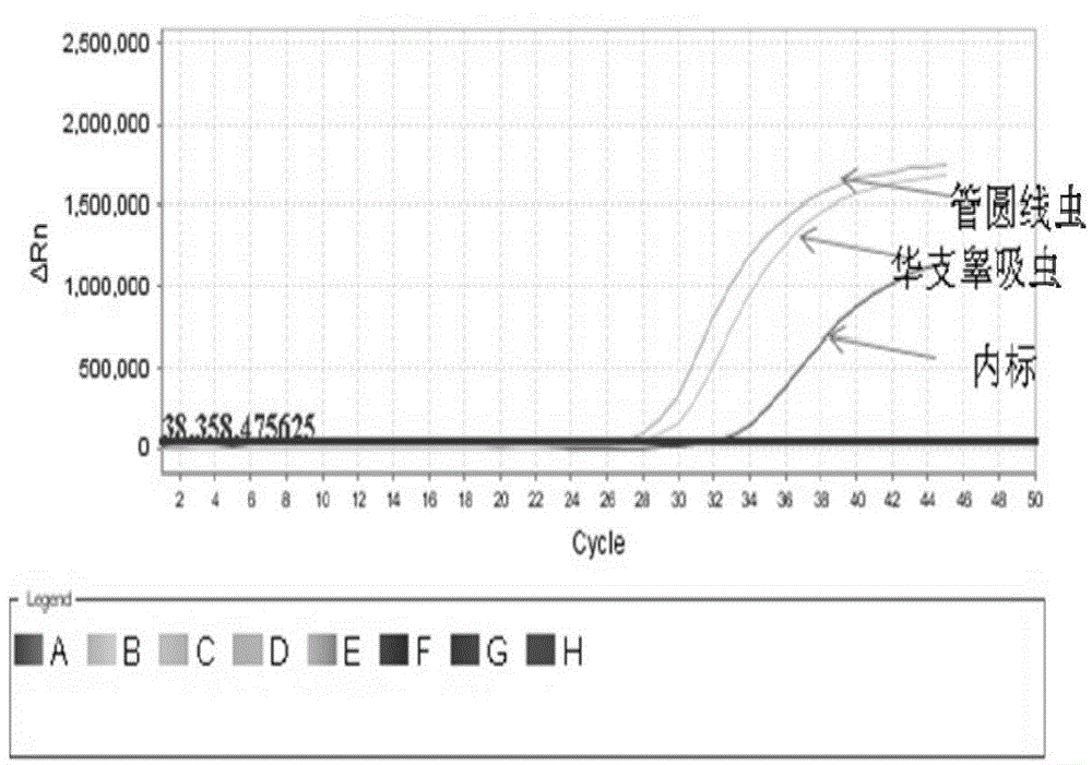 Dual real-time fluorescent PCR detection reagents, kits and detection methods for Clonorchis sinensis and Angiostrongylus cantonensis