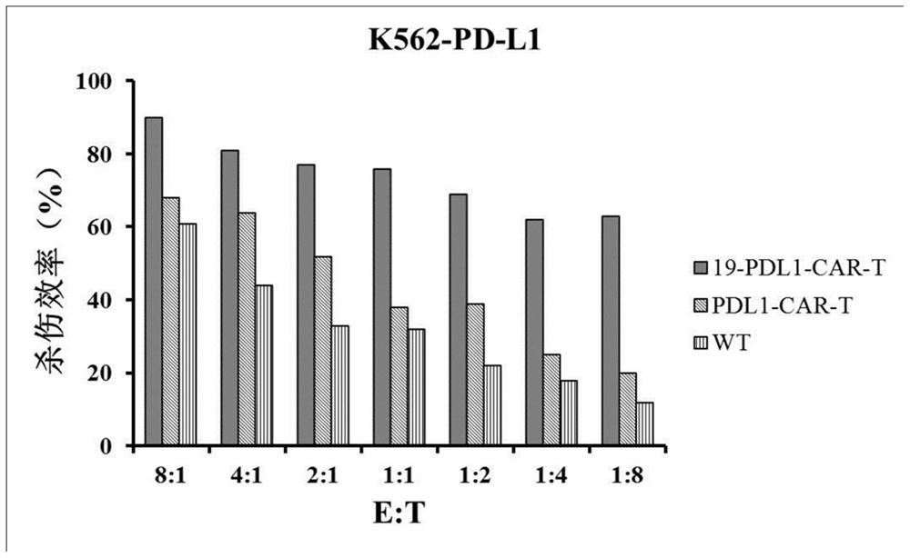 CD19 and PD-L1 dual-target chimeric antigen receptor and its application