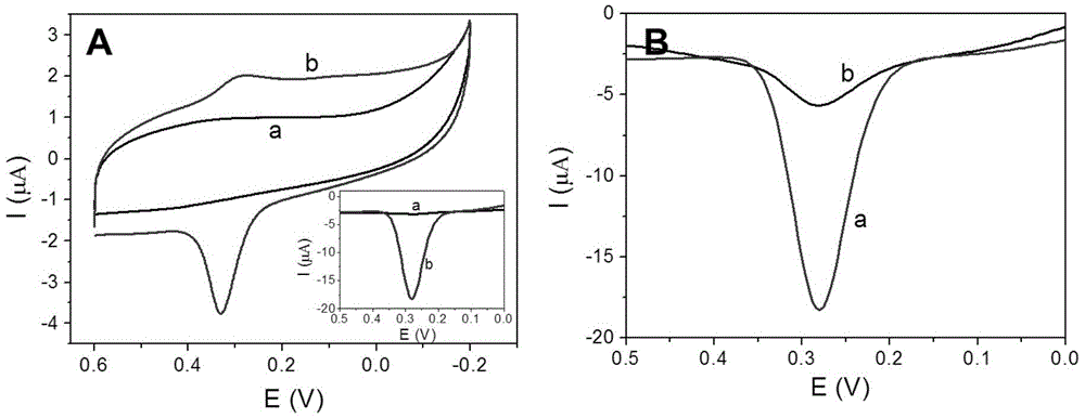 Copper nanoparticle synthetic method using rolling circle amplification product as template and application thereof in electrochemical detection