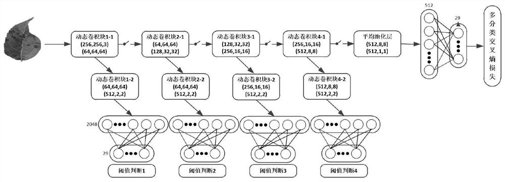 A multi-type crop leaf disease identification method based on a dynamic neural network