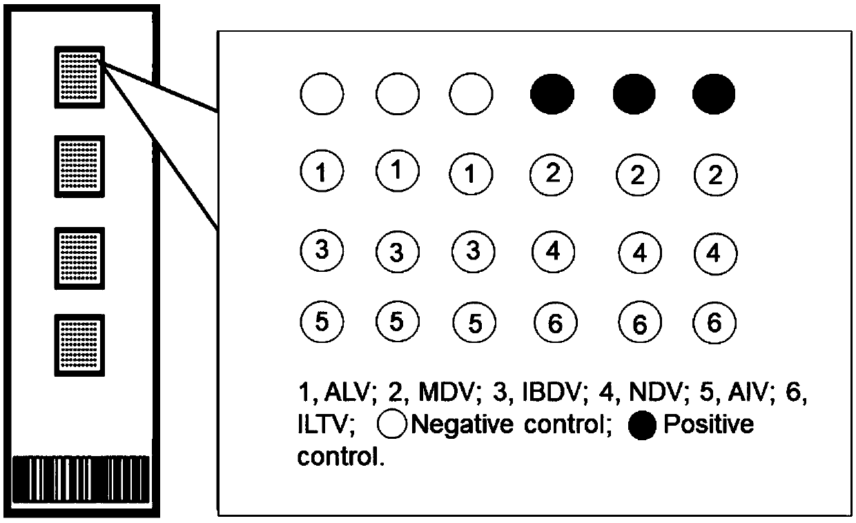 Visual chip for synchronously detecting six avian viruses