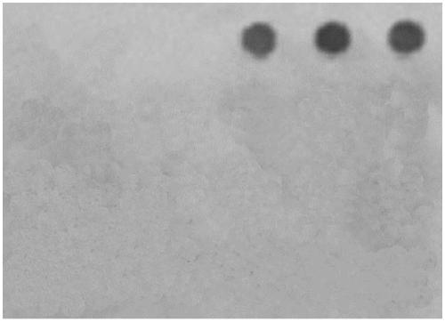 Visual chip for synchronously detecting six avian viruses