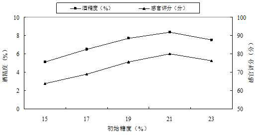 Electric-field-strengthened brewing process of sea-buckthorn and wolfberry health fruit wine