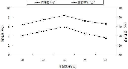 Electric-field-strengthened brewing process of sea-buckthorn and wolfberry health fruit wine