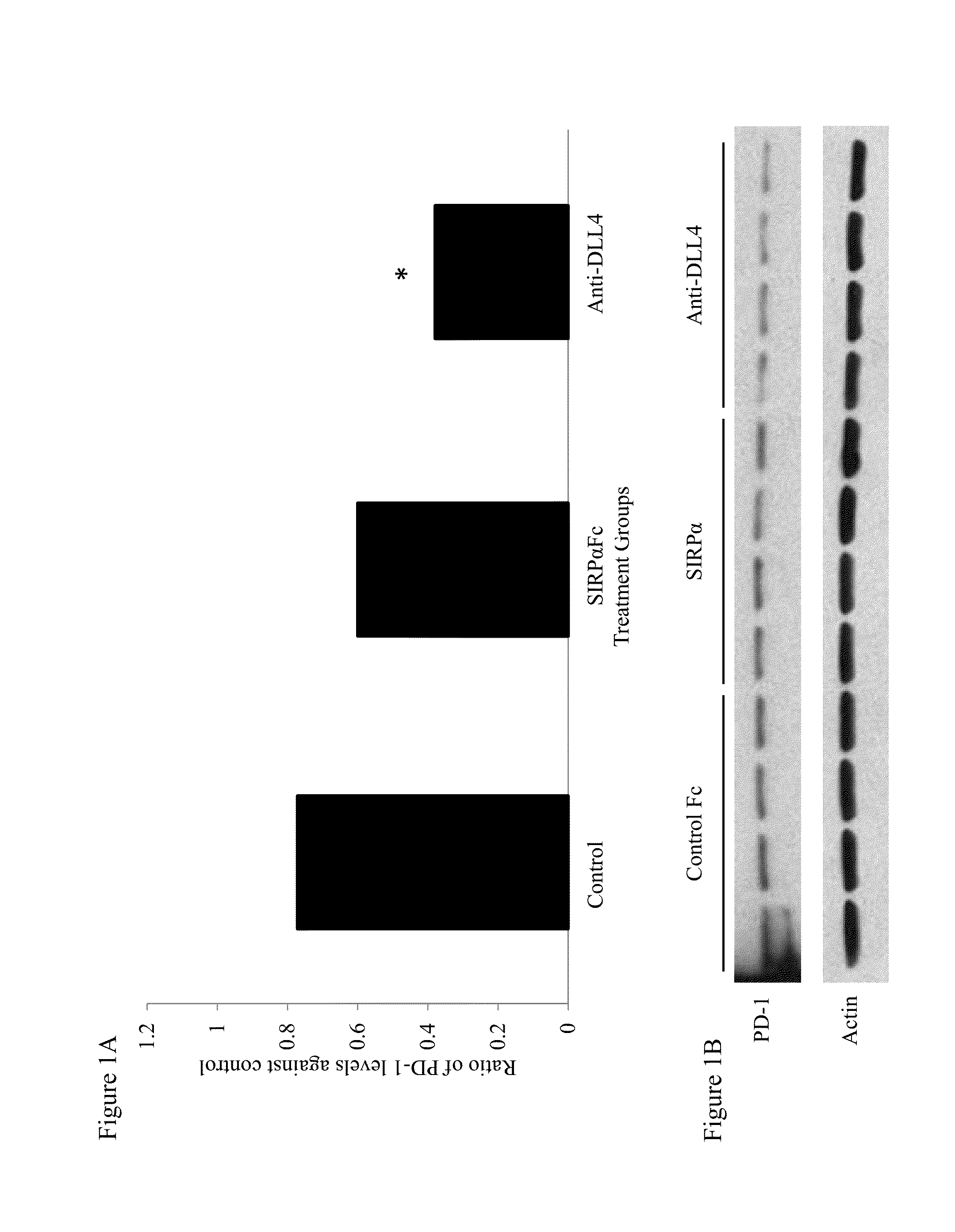 Combination Therapy For Treatment Of Disease