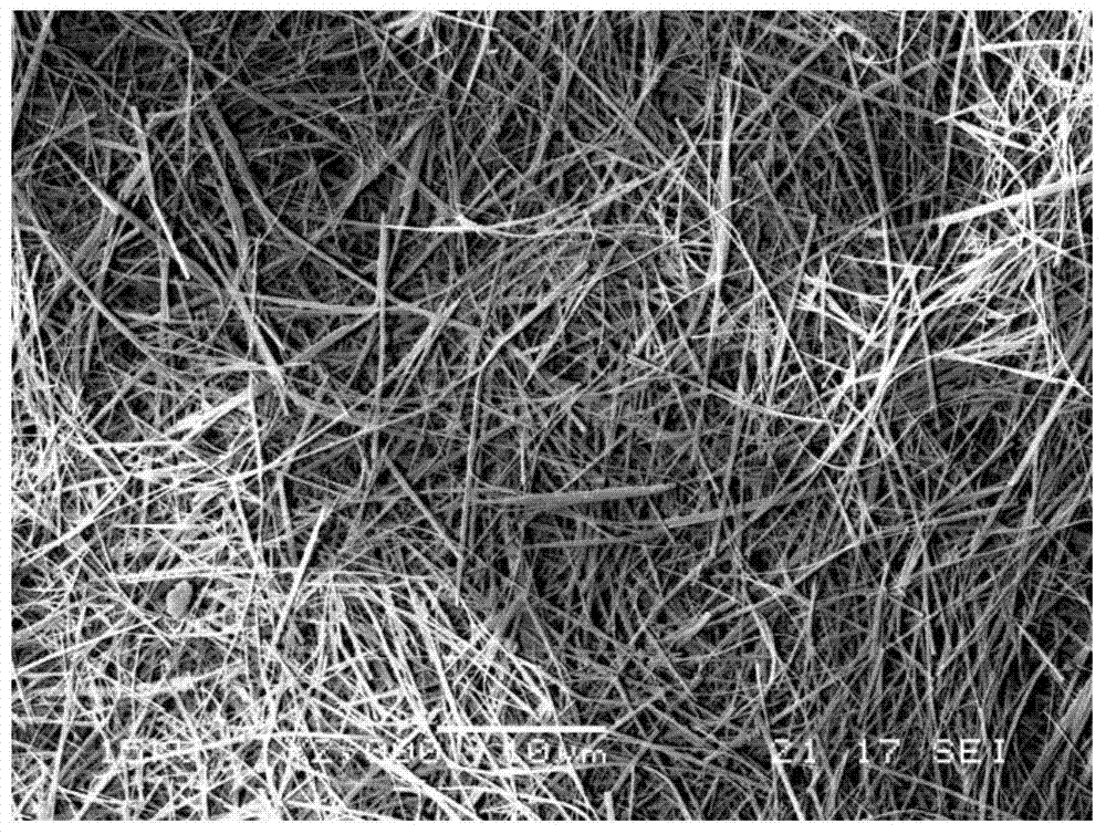 Preparation method of fibrous alkali magnesium sulfate whisker