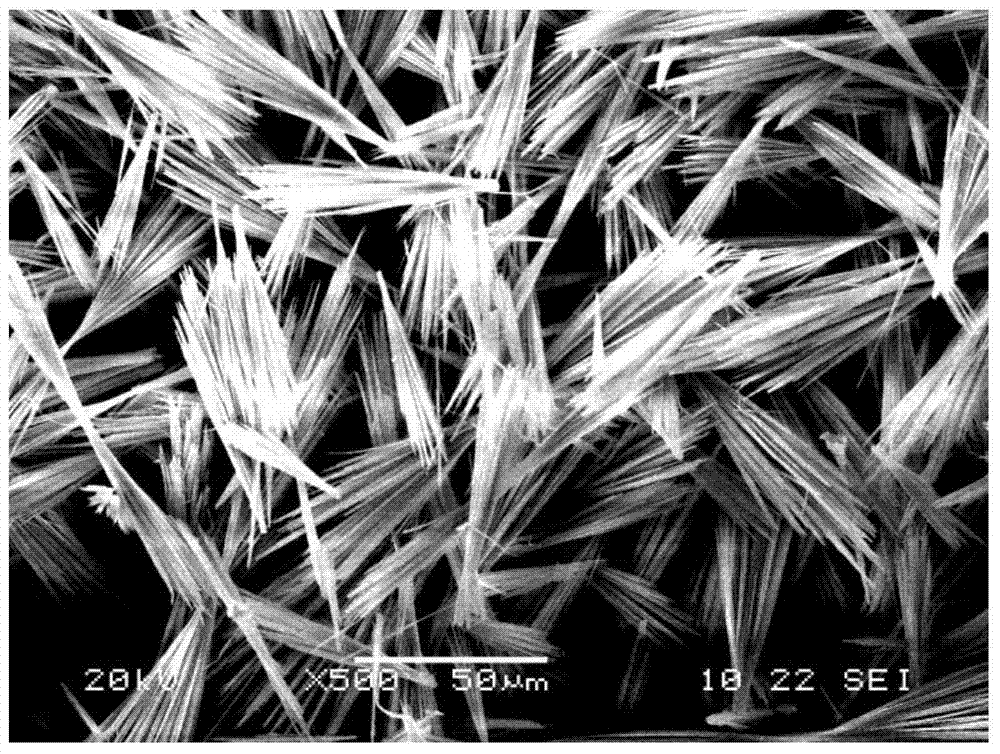 Preparation method of fibrous alkali magnesium sulfate whisker