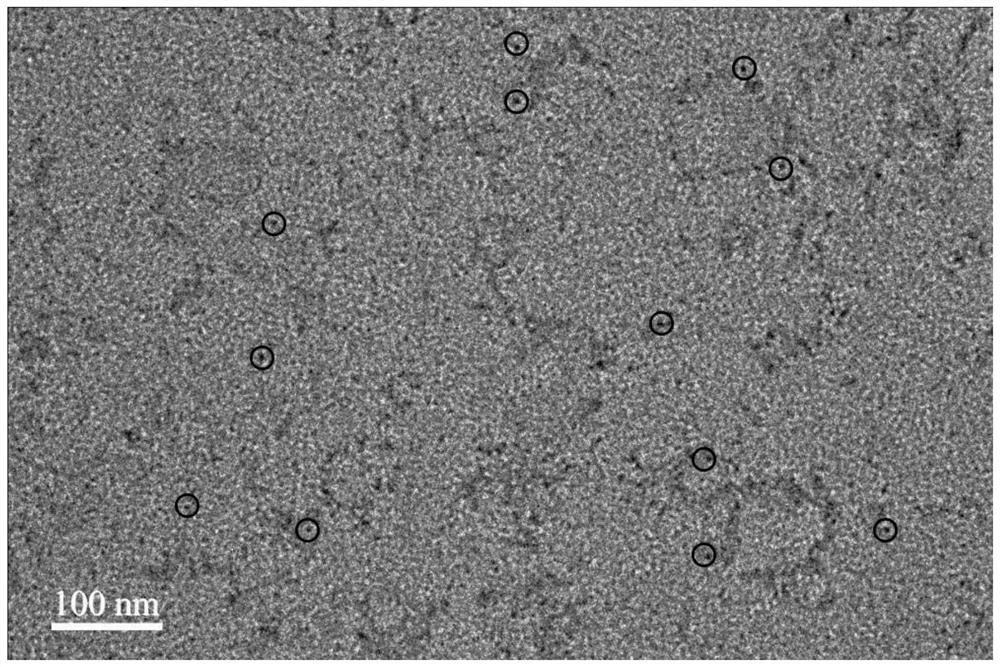 a g-c  <sub>3</sub> n  <sub>4</sub> Quantum dots and their preparation methods and applications