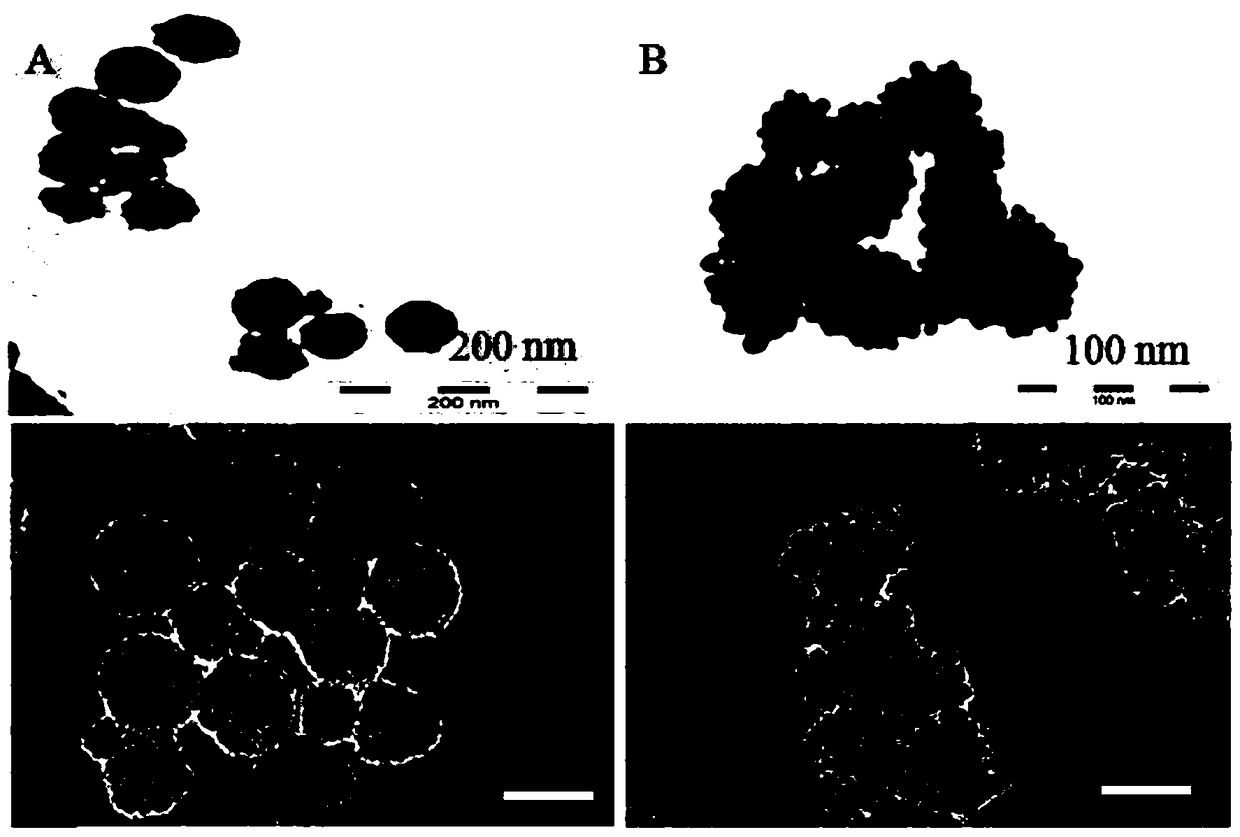 A CQ-loaded nano-gold plugged mesoporous silica controlled release system and its preparation method and application