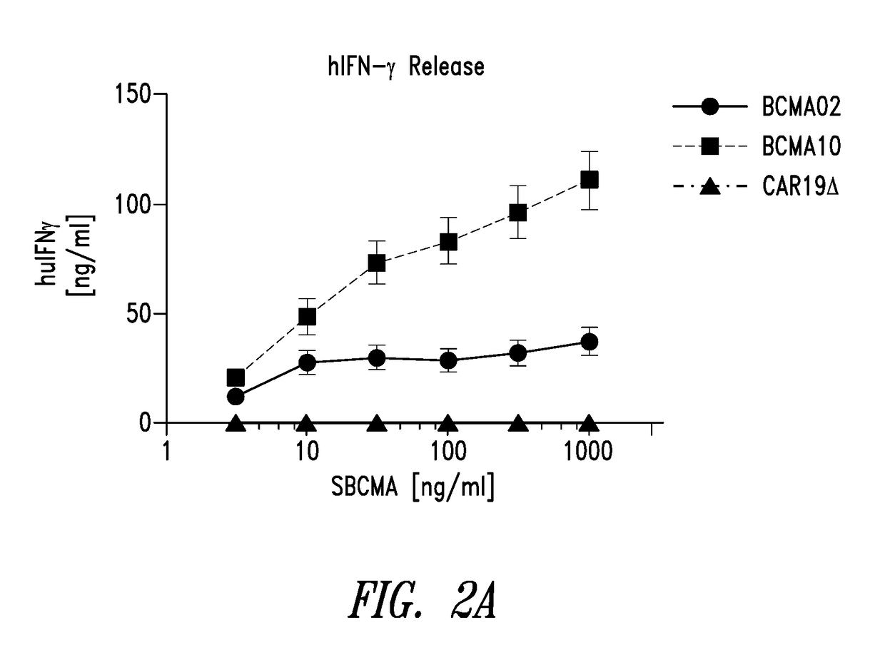 Bcma chimeric antigen receptors