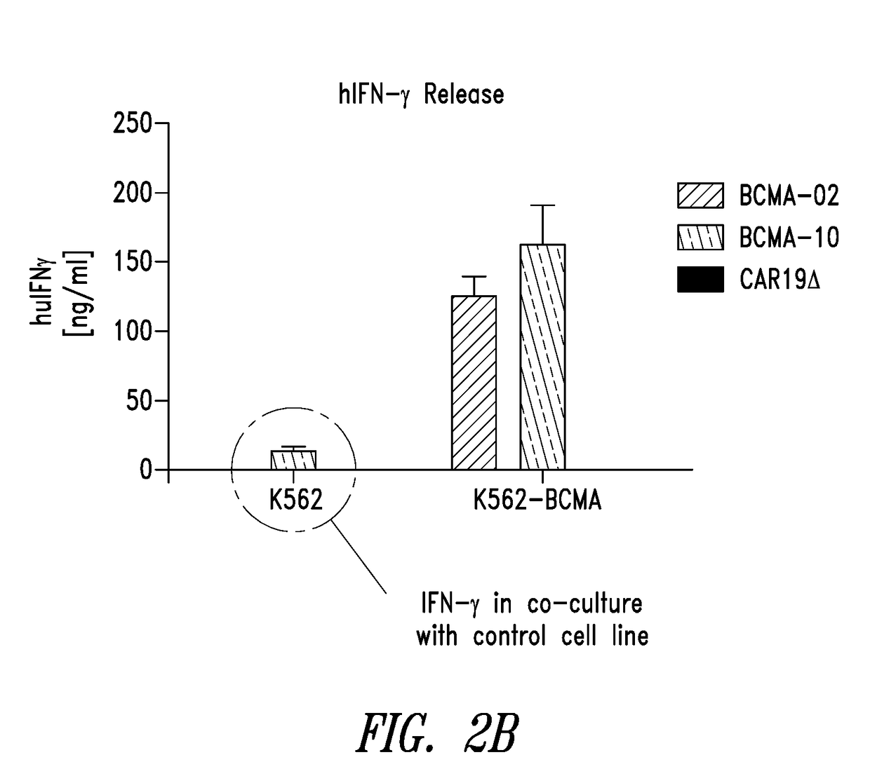 Bcma chimeric antigen receptors